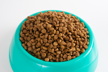 Cat food in a green bowl, on a white background