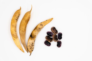 Dried beans isolated on white background. bean pods