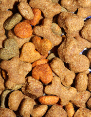 Dog dry healthy food from purina close up background high quality big size prints A top view shot of a manufactured dry dog round with hole croquette food 