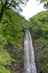 夏の滝