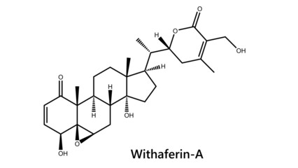 Withaferin A is a steroidal lactone, derived from Acnistus arborescens, Withania somnifera and other members of family Solanaceae. It has been traditionally used in ayurvedic medicine. Aswagandha