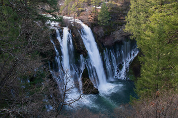 Fototapeta premium waterfall in the forest
