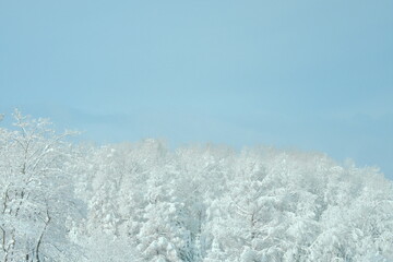 美しい冬の北海道の景観