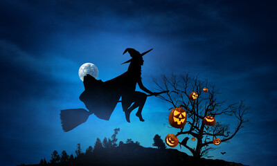 Witch on the broom . Mixed media