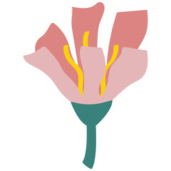 Pink flower vector illustration in flat color design
