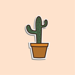 vector cactus illustration