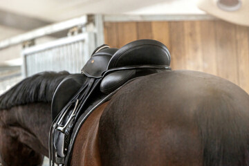 Focus on a saddle on a horses back
