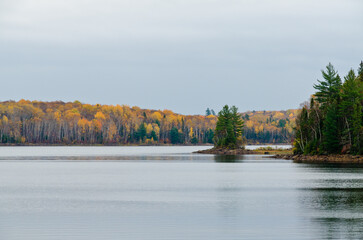 Forest lake