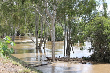 Receding Floodwater at Brisbane River at Colleges Crossing Recreation Park near Ipswich, Queensland...
