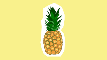 Pineapple Fruit Illustration Vector Art
