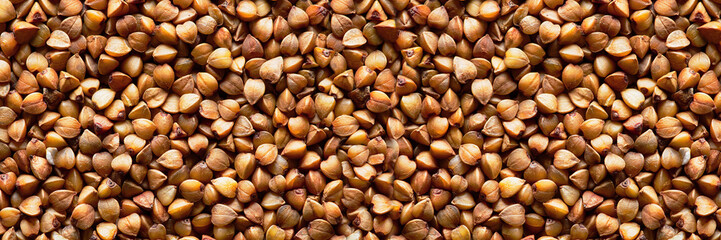 buckwheat abstract background. fresh buckwheat. dry buckwheat background. texture