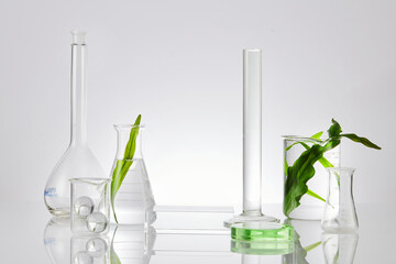 Assorted laboratory glassware equipment showcase with leaves on white backround. Stage showcase...