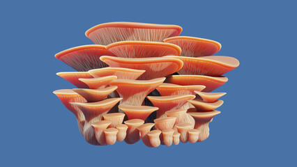 3D render of a stylized bouquet cluster of edible pink oyster mushrooms