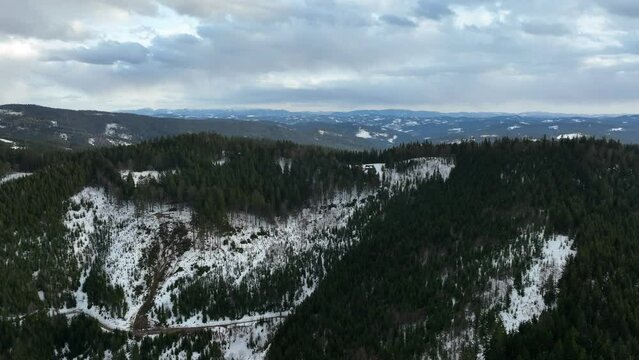 Forest mountain hill snow winter Beskydy spruce drone aerial bark beetle pest Ips typographus dead shot Picea abies forest virgin quadcopter view flying fly flight show, dry stumps, tree crown