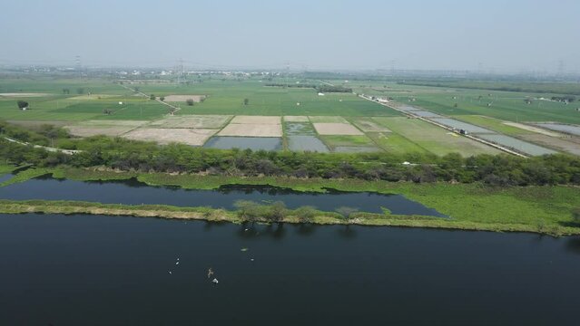 Aerial drone footage of the agricultural fields. Drone footage of river flowing beside agricultural lands in India.