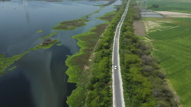 Aerial drone shot of a white car riding on a road covered with trees in Delhi.