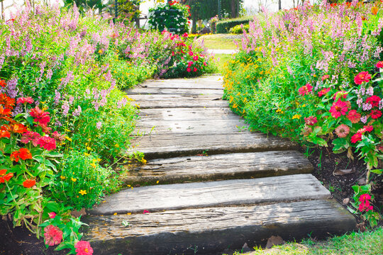 stone path in the flower garden