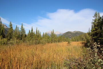 landscape with mountains