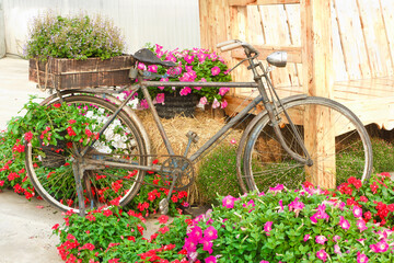Fototapeta na wymiar Old bike and decorated with flowers.