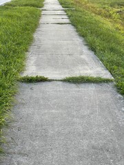 path in the park