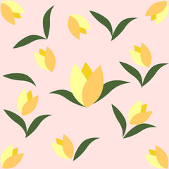 yellow tulips isolate on blossom background