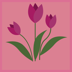 beautiful tulips on blossom background