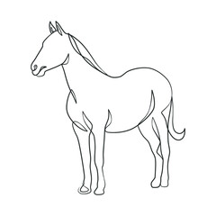 Continuous line drawing of horse