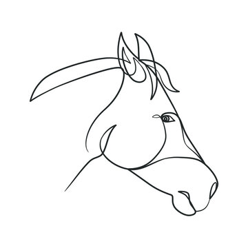 Continuous line drawing of horse head