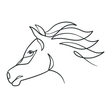 Continuous line drawing of horse head