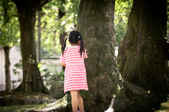 公園の木々と女の子
