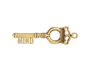 Bronze vintage antique keys with word Mind isolated on white background