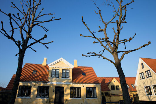House in denmark with trees
