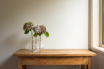 Dried hydrangea flowers in glass vases on oak side table next to window against beige wall (selective focus) - obrazy, fototapety, plakaty