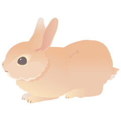ネザーランドドワーフ かわいいうさぎ  ベクターイラスト