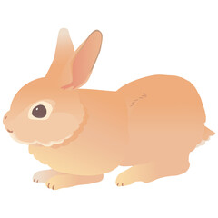 ミニレッキス かわいいうさぎ  ベクターイラスト