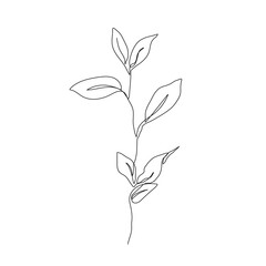 Vector Minimalist Line Art Drawing of Leaves Branch. Plant Continuous Line Leaves. Hand Drawn Abstract Botanical Print for Social Media, Logos, Poster Wall Decor, Invitation, Card, T-shirt Print.