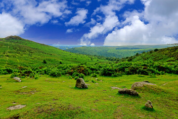 A scenic landscape of Dartmoor