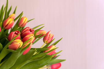 Spring flowers. the bouquet of tulips pink and yellow on a pink background Close-up. Congratulations on international women's day, March 8, birthday, Mother's Day
