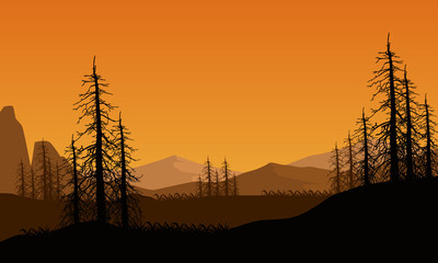 Amazing view of the mountains from the riverside at sunrise with the silhouettes of dry trees all around