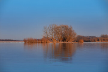 ostoja dla ptaków na zalewie, wyspa na jeziorze © meegi