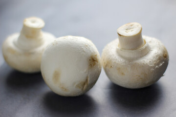 three white champignon on black table