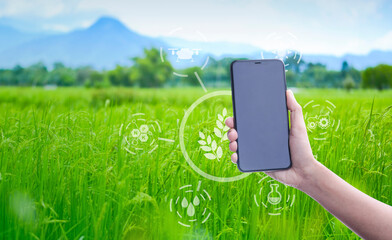 Smart farmer concept using smartphone in rice field and visual icon with modern technology application in rice fields production control  for smart  technology farm system.. - obrazy, fototapety, plakaty