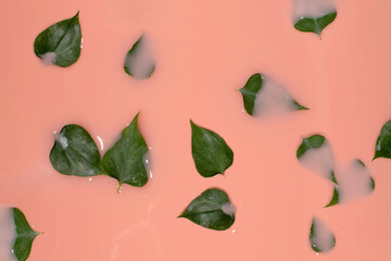 Heart shaped leaves float in the milky liquid. Minimal concept of nature, pastel pink aesthetic background. 