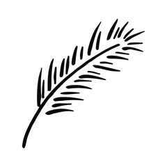 Feather doodle sketch icon