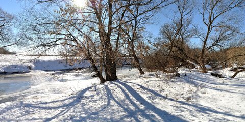 Spring walk through the forest, beautiful panorama.