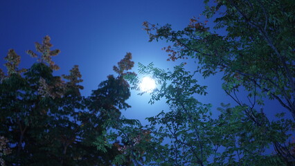 The moon night view with the bright moon in the dark sky at night