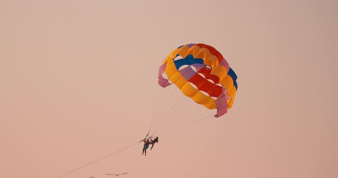 Parasailers Flying On Colorful Parachute In Sunset Or Sunrise Sky. Active Hobby.