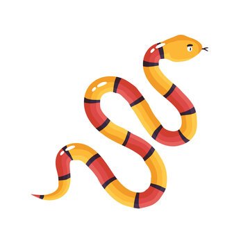 Snake is very long. Cartoon vector illustration of an animal on a white isolated background.