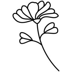 leaves and flowers with hand drawn