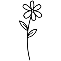 leaves and flowers with hand drawn